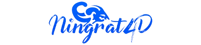 Logo NINGRAT4D